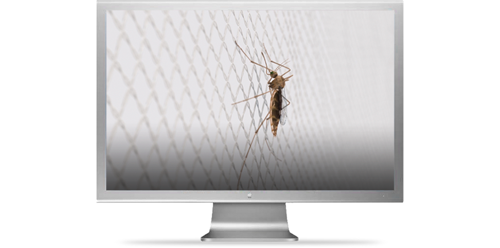 /videos/lifenet_video_1_UK